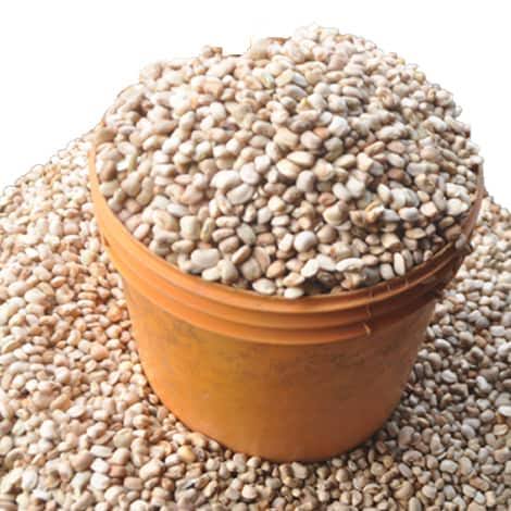 Original Honey beans(Ewa Oloyin) 5derica