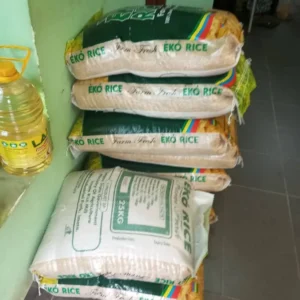 Scanfost freezer 250l inverter