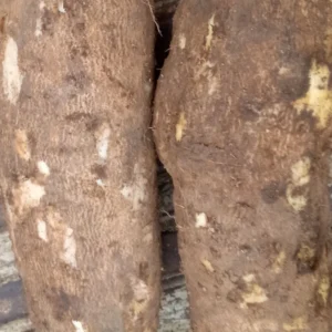 2 YAMS (Original Efuru)