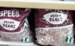 Brown Beans